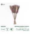 GloboStar® Artificial Garden REAL DRIED BROWN PAMPAS GRASS BUNCH 21215 Αποξηραμένο Διακοσμητικό Μπουκέτο Pampas Kάφε Y50cm - Σετ 15 τμχ